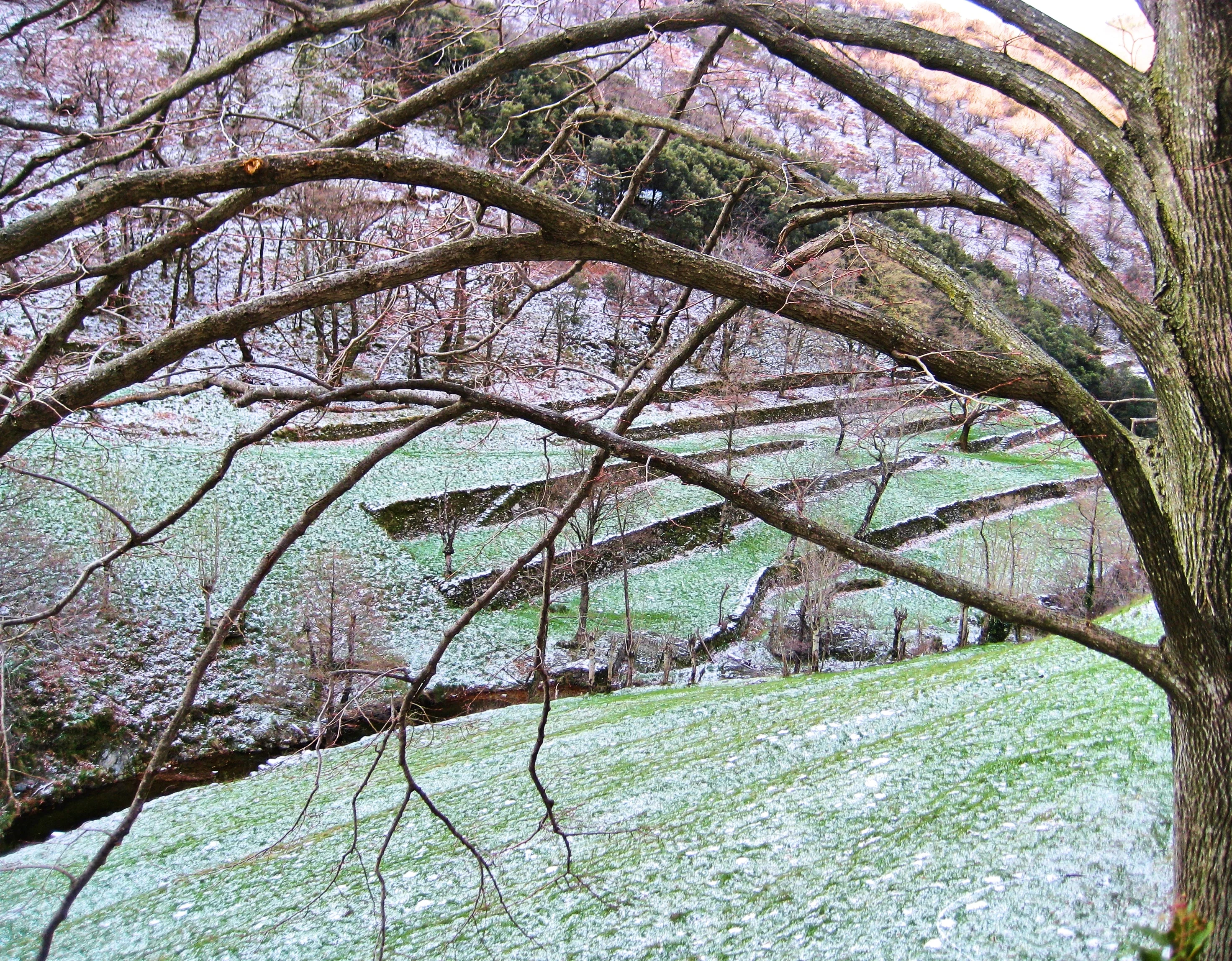 Paysage enneigé des Cévennes en hiver